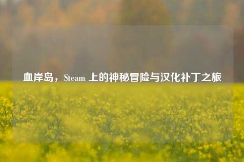 血岸岛,Steam 上的神秘冒险与汉化补丁之旅