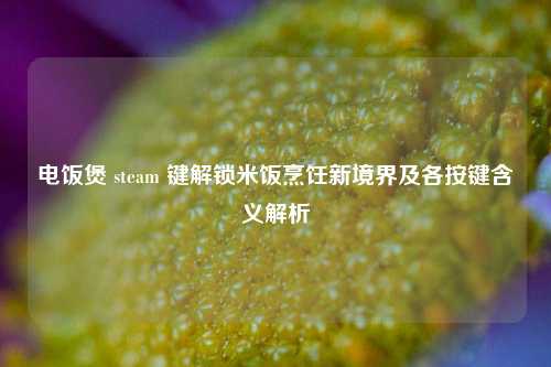 电饭煲 steam 键解锁米饭烹饪新境界及各按键含义解析