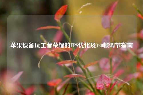 苹果设备玩王者荣耀的FPS优化及120帧调节指南
