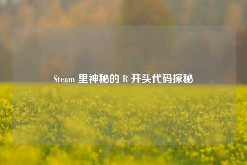 Steam 里神秘的 R 开头代码探秘
