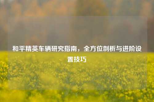 和平精英车辆研究指南,全方位剖析与进阶设置技巧
