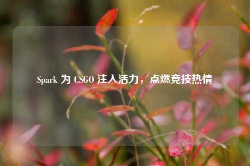Spark 为 CSGO 注入活力,点燃竞技热情