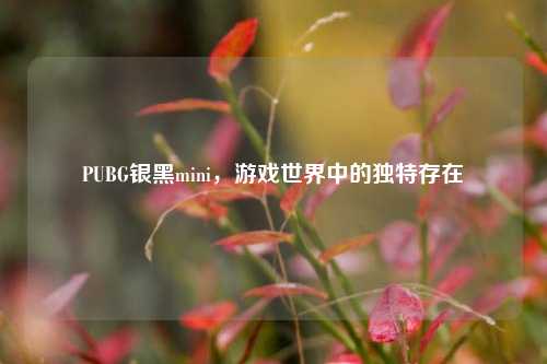 PUBG银黑mini,游戏世界中的独特存在