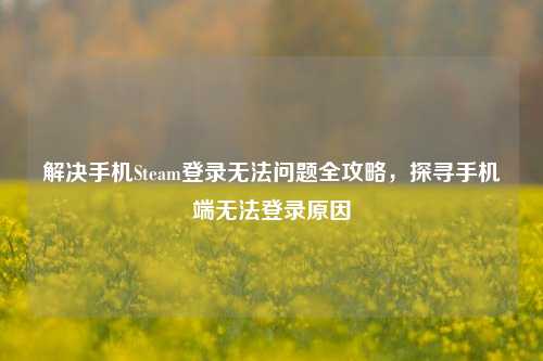 解决手机Steam登录无法问题全攻略,探寻手机端无法登录原因