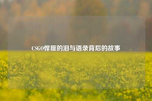 CSGO悍匪的泪与语录背后的故事