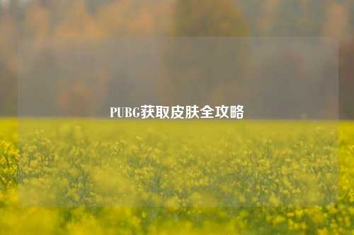 PUBG获取皮肤全攻略