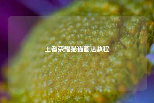王者荣耀猫猫画法教程