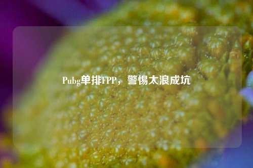 Pubg单排FPP,警惕太浪成坑