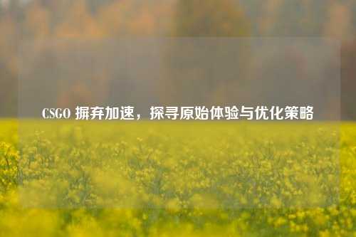 CSGO 摒弃加速,探寻原始体验与优化策略