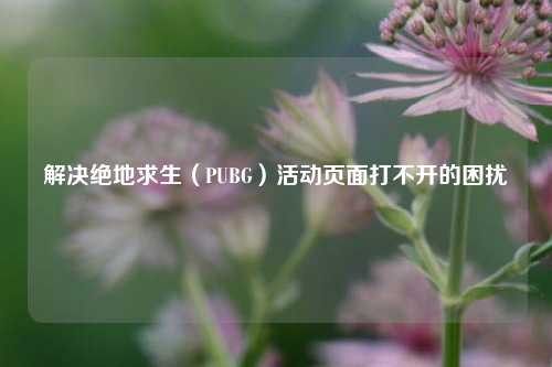 解决绝地求生(PUBG)活动页面打不开的困扰