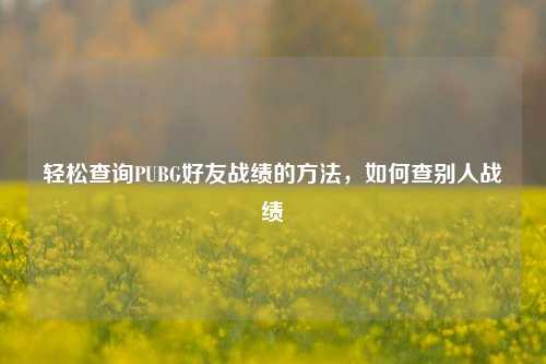 轻松查询PUBG好友战绩的 *** ,如何查别人战绩