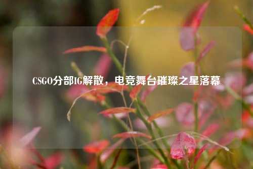 CSGO分部IG解散,电竞舞台璀璨之星落幕