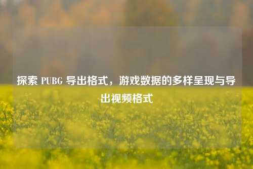 探索 PUBG 导出格式,游戏数据的多样呈现与导出视频格式