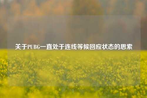 关于PUBG一直处于连线等候回应状态的思索