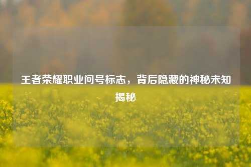 王者荣耀职业问号标志,背后隐藏的神秘未知揭秘