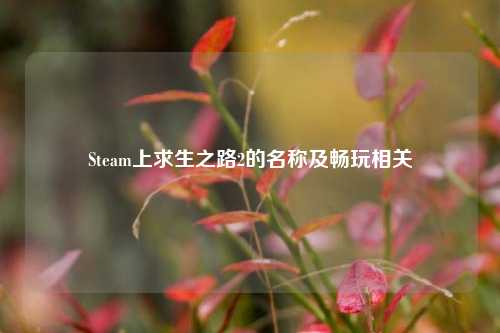Steam上求生之路2的名称及畅玩相关