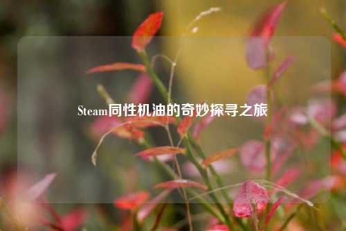 Steam同性机油的奇妙探寻之旅