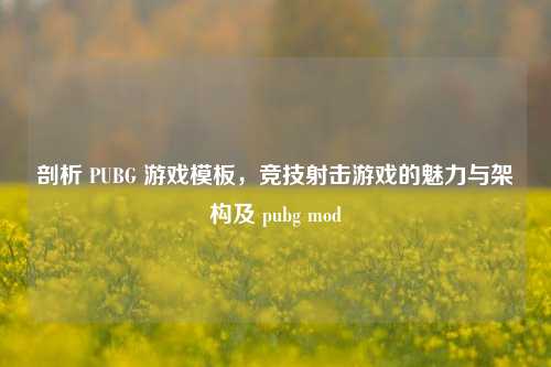 剖析 PUBG 游戏模板,竞技射击游戏的魅力与架构及 pubg mod