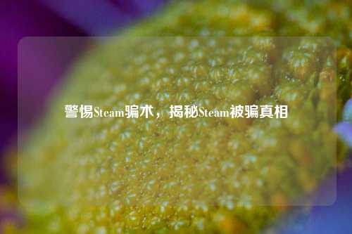 警惕Steam骗术,揭秘Steam被骗真相