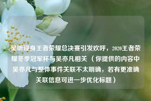 吴昕现身王者荣耀总决赛引发欢呼,2020王者荣耀冬季冠军杯与吴亦凡相关 (你提供的内容中吴亦凡与整体事件关联不太明确,若有更准确关联信息可进一步优化标题)
