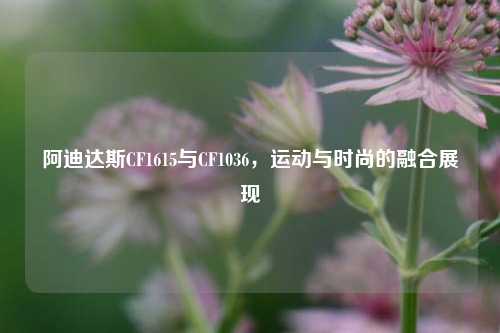阿迪达斯CF1615与CF1036,运动与时尚的融合展现