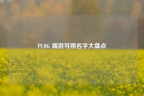 PUBG 端游可用名字大盘点