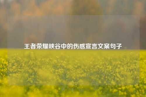 王者荣耀峡谷中的伤感宣言文案句子