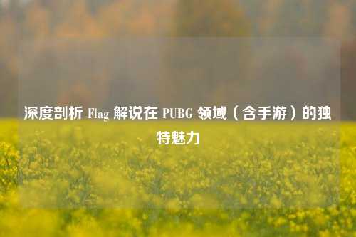 深度剖析 Flag 解说在 PUBG 领域(含手游)的独特魅力