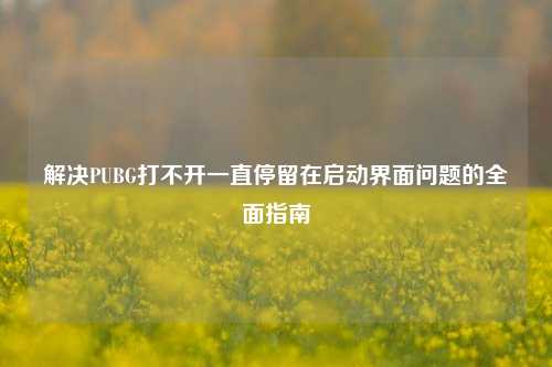 解决PUBG打不开一直停留在启动界面问题的全面指南