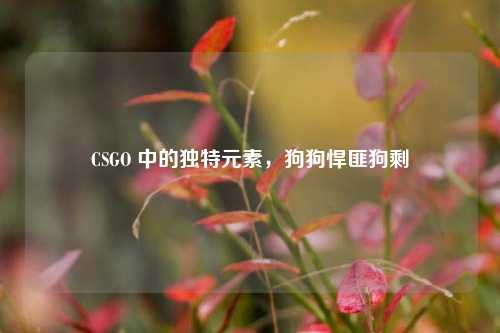 CSGO 中的独特元素,狗狗悍匪狗剩