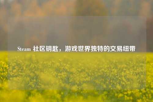 Steam 社区钥匙,游戏世界独特的交易纽带
