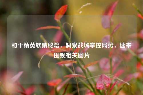 和平精英软睛秘籍,洞察战场掌控局势,速来围观相关图片