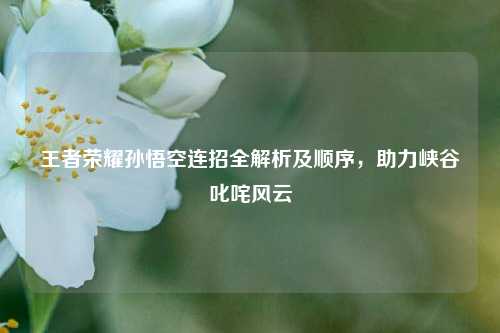 王者荣耀孙悟空连招全解析及顺序,助力峡谷叱咤风云