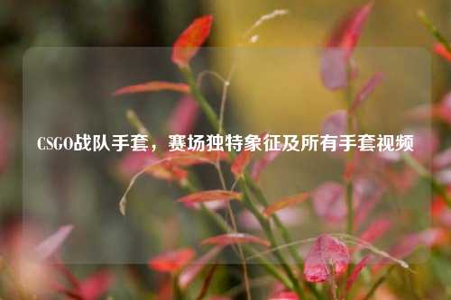 CSGO战队手套,赛场独特象征及所有手套视频
