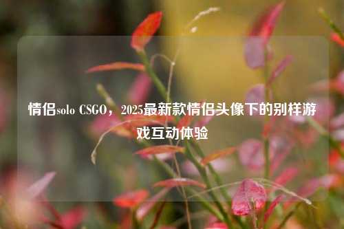 情侣solo CSGO,2025最新款情侣头像下的别样游戏互动体验