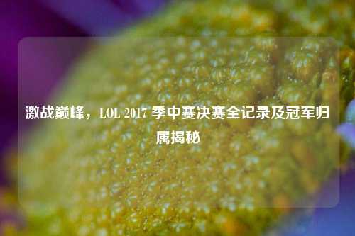 激战巅峰,LOL 2017 季中赛决赛全记录及冠军归属揭秘