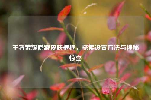 王者荣耀隐藏皮肤框框,探索设置 *** 与神秘惊喜