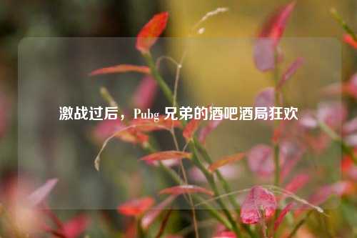 激战过后,Pubg 兄弟的酒吧酒局狂欢