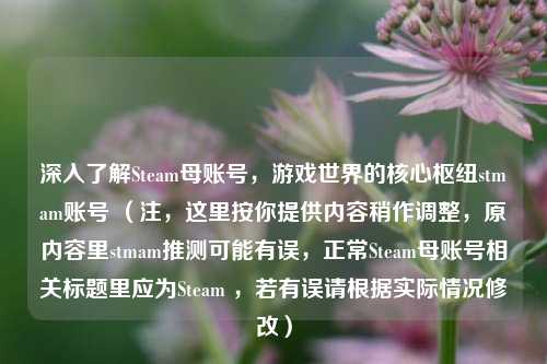 深入了解Steam母账号,游戏世界的核心枢纽stmam账号 (注,这里按你提供内容稍作调整,原内容里stmam推测可能有误,正常Steam母账号相关标题里应为Steam ,若有误请根据实际情况修改)