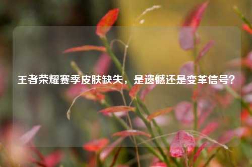 王者荣耀赛季皮肤缺失,是遗憾还是变革信号?