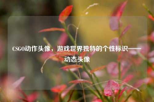 CSGO动作头像,游戏世界独特的个性标识——动态头像