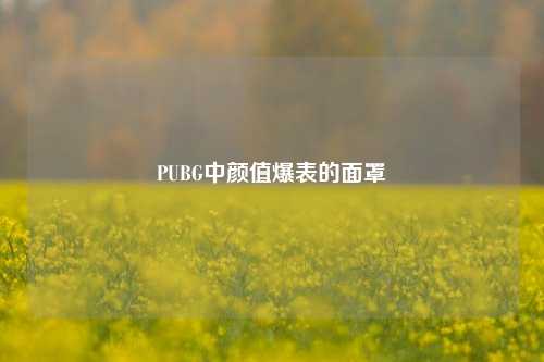PUBG中颜值爆表的面罩