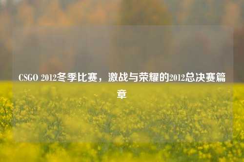 CSGO 2012冬季比赛,激战与荣耀的2012总决赛篇章