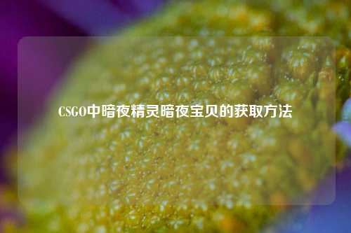 CSGO中暗夜精灵暗夜宝贝的获取 ***