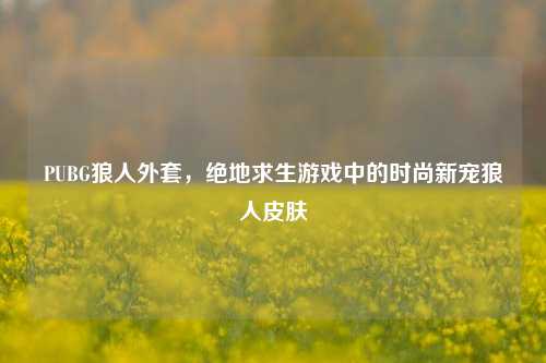 PUBG狼人外套,绝地求生游戏中的时尚新宠狼人皮肤