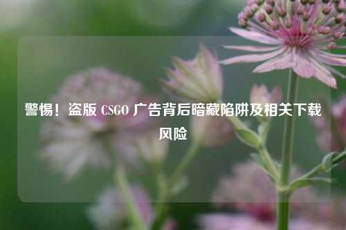 警惕!盗版 CSGO 广告背后暗藏陷阱及相关下载风险