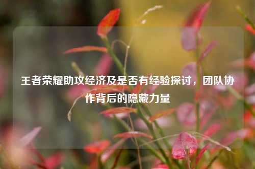 王者荣耀助攻经济及是否有经验探讨,团队协作背后的隐藏力量