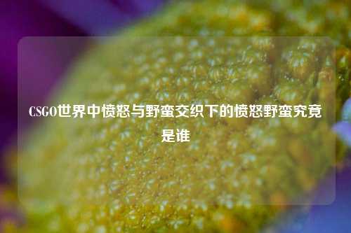 CSGO世界中愤怒与野蛮交织下的愤怒野蛮究竟是谁