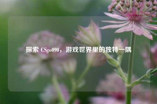 探索 CSgo090,游戏世界里的独特一隅