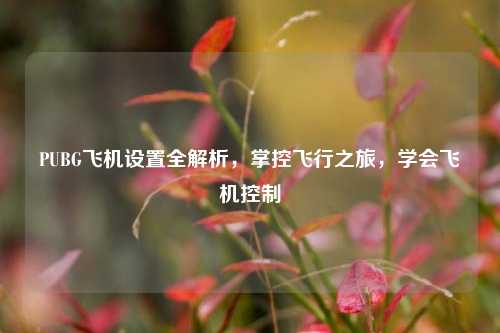 PUBG飞机设置全解析,掌控飞行之旅,学会飞机控制